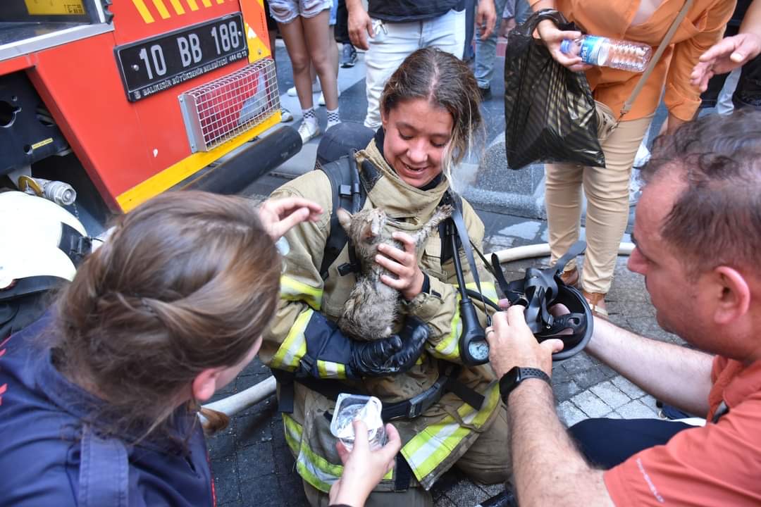 Balıkesir Büyükşehir Belediyesi’nin Kahraman İtfaiye Eri, Kendi Solunum Cihazını Kullanarak Kedinin Hayatını Kurtardı Balıkesir Büyükşehir Belediyesi’nin İtfaiye Eri Seray Başol, Balıkesir’in Karesi ilçesinde çıkan bir yangında hayat kurtaran bir kahramanlık örneği sergiledi. Yıldırım Mahallesi Yıldırım Caddesi'nde bir apartmanın birinci katında çıkan yangına hızla müdahale eden itfaiye ekiplerinden Seray Başol, yangın sırasında bitkin halde bulduğu yavru kediyi, kendi temiz hava solunum cihazını takarak hayata döndürdü. Ardından, kediyi Balıkesir Büyükşehir Belediyesi’nin hayvan ambulansı VETBULANS aracılığıyla Altıeylül Sokak Hayvanları Tedavi Merkezi’ne nakletti. Merkezde yapılan müdahaleler sonucunda kedinin sağlık durumu hızla düzeldi.
