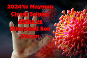 2024'te Afrika'da hızla yayılan maymun çiçeği (mpox) salgını, dünya genelinde endişe yaratıyor. WHO, yeni bir virüs suşunun etkisiyle ortaya çıkan vakaların kontrolü için acil önlemler alınması gerektiğini vurguluyor.