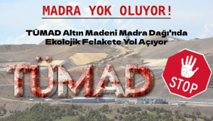TÜMAD Altın Madeni Madra Dağı'nda Ekolojik Felakete Yol AçıyorMadra Dağı'nda faaliyet gösteren TÜMAD Altın Madeni, bölgedeki ekosistemi geri dönüşü olmayan bir şekilde tahrip ediyor. Altın madenciliği için yapılan çalışmalar, doğanın dengesiyle oynayarak bölgedeki su kaynaklarını kurutuyor, ormanları yok ediyor ve bölgenin doğal yapısını geri dönüşü olmayan bir şekilde bozuyor. Yerel halk ve çevre örgütleri, bu duruma tepki gösterirken, madenin neden olduğu ekolojik felaketin etkileri gün geçtikçe daha da belirgin hale geliyor.