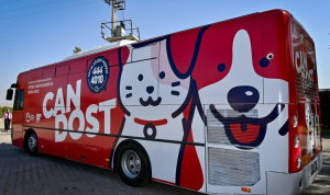 Balıkesir Büyükşehir Belediyesi’nin “Sahip Çıkıyoruz, Sahipsiz Bırakmıyoruz” projesi kapsamında, bin 52 sokak hayvanı yeni yuvalarına kavuştu. Vetbüs ve Vetbulans ile sokak hayvanlarına tedavi ve sağlık desteği sağlanıyor.