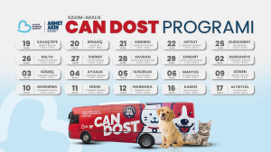 Balıkesir Büyükşehir Belediyesi’nin “Can Dost” aracı, Kasım-Aralık programıyla sokak hayvanlarına sağlık taraması ve tedavi hizmeti veriyor. İlçelerdeki program detayları haberimizde.