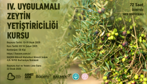Balıkesir Büyükşehir Belediyesi tarafından düzenlenen “IV. Uygulamalı Zeytin Yetiştiriciliği Kursu” başvuruları başladı. 03-14 Şubat 2025 tarihlerinde düzenlenecek kurs, çiftçilere MEB onaylı sertifika kazandıracak.