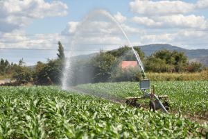 BASKİ, İvrindi’de meydana gelen büyük çaplı sulama arızasını bayram sonrası hızlı müdahaleyle çözdü. Yaklaşık 20 bin dekar tarım alanı yeniden suya kavuştu. Başkan Ahmet Akın liderliğinde kırsal üreticiye destek sürüyor.