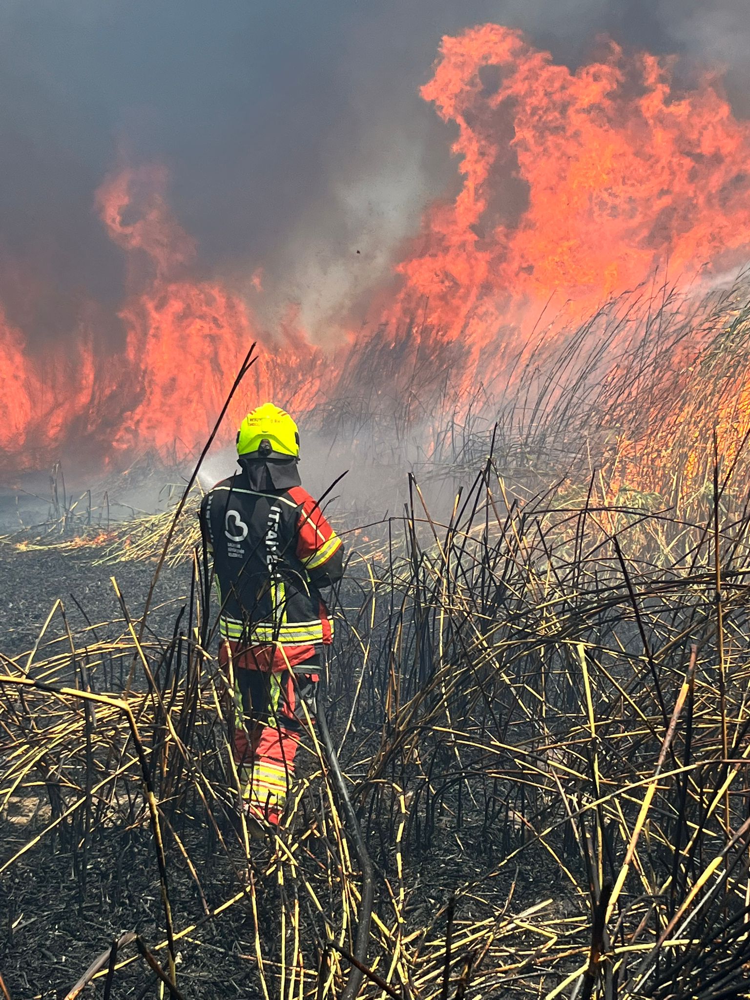 Balıkesir İtfaiyesi, Manisa ve Bursa’daki orman yangınlarına hızlı müdahale ederek bölgeye güçlü destek sağladı. Başkan Akın ekipleri seferber etti.