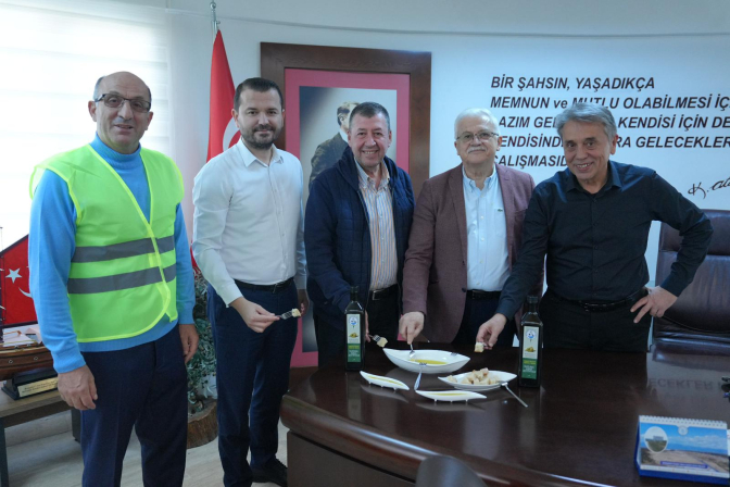 BURHANİYE’DE ZEYTİN HASADI BAŞLADI