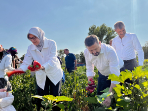 AK Parti İl Başkanı Mehmet Aydemir, Balıkesir’de çiftçilere yönelik 44 milyon TL zirai don desteği hakkında açıklama yaparken çekilmiş fotoğraf.