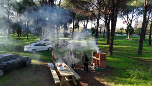 Altınova Mesire Alanı’nda çam ağaçları altında bulunan mangal ve oturma alanları.