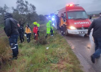 Havran’da Otomobil Zeytinliğe Uçtu: 2 Yaralı