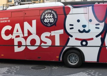 Sokaktaki Patili Dostlar Büyükşehir’e Emanet