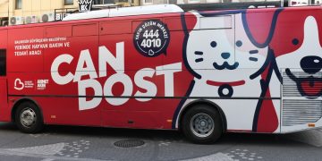 Sokaktaki Patili Dostlar Büyükşehir’e Emanet