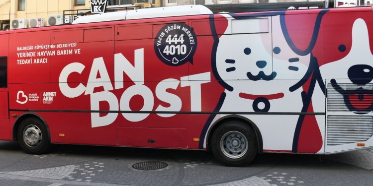 Sokaktaki Patili Dostlar Büyükşehir’e Emanet