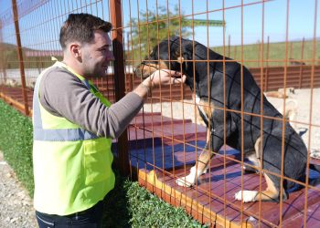 BURHANİYE BELEDİYESİ, CAN DOSTLARIN SICAK YUVA UMUDU OLUYOR