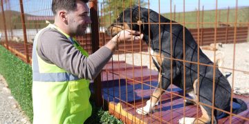 BURHANİYE BELEDİYESİ, CAN DOSTLARIN SICAK YUVA UMUDU OLUYOR